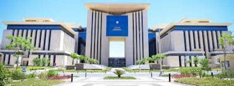 الخارجية : الهجرة غير الشرعية تحتاج وعيا وتشديدا للعقوبات