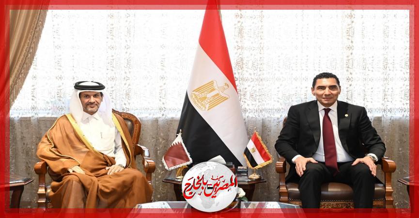 المصريين بالخارج