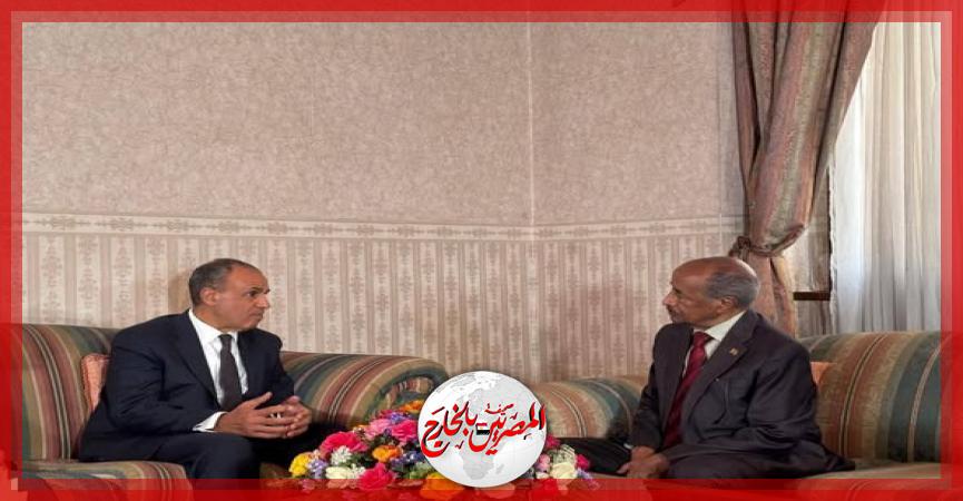 المصريين بالخارج