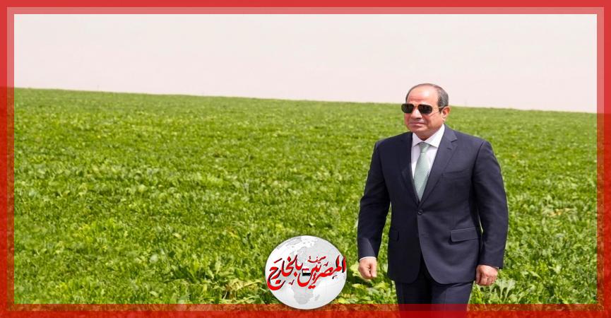 المصريين بالخارج