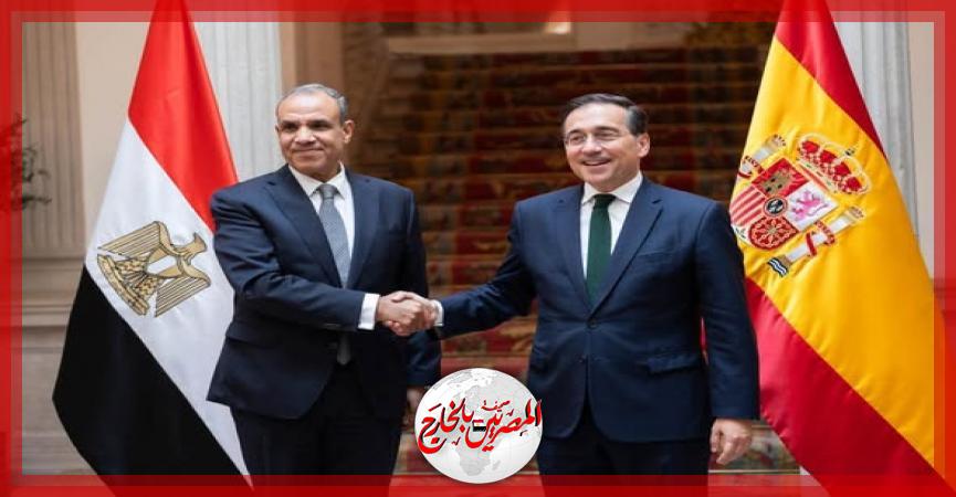 المصريين بالخارج