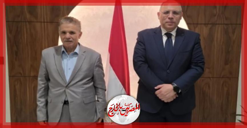 المصريين بالخارج