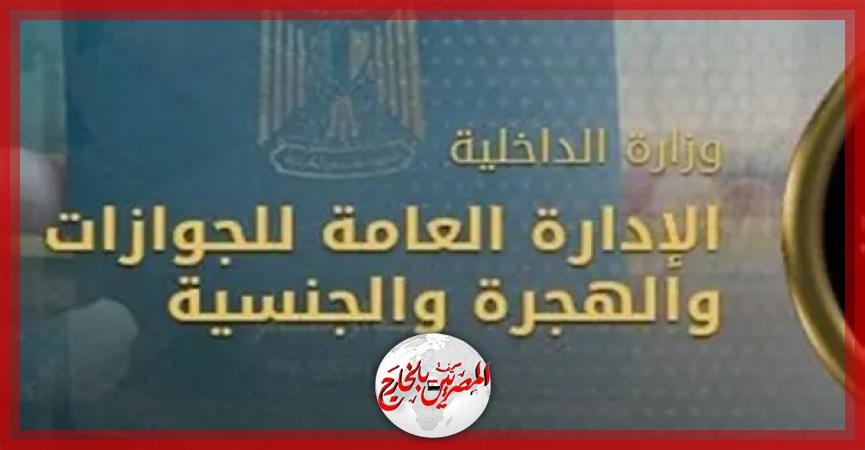 المصريين بالخارج