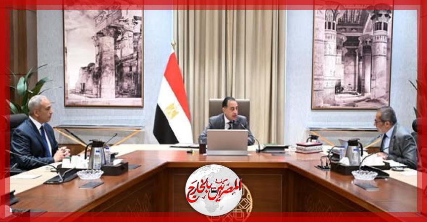 المصريين بالخارج