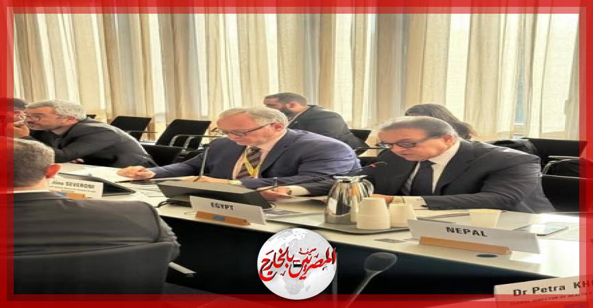 المصريين بالخارج