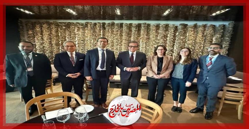 المصريين بالخارج