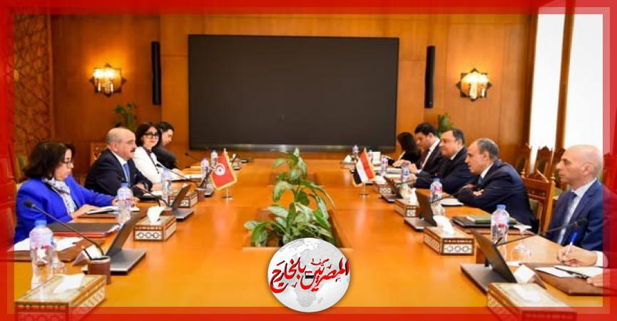 المصريين بالخارج
