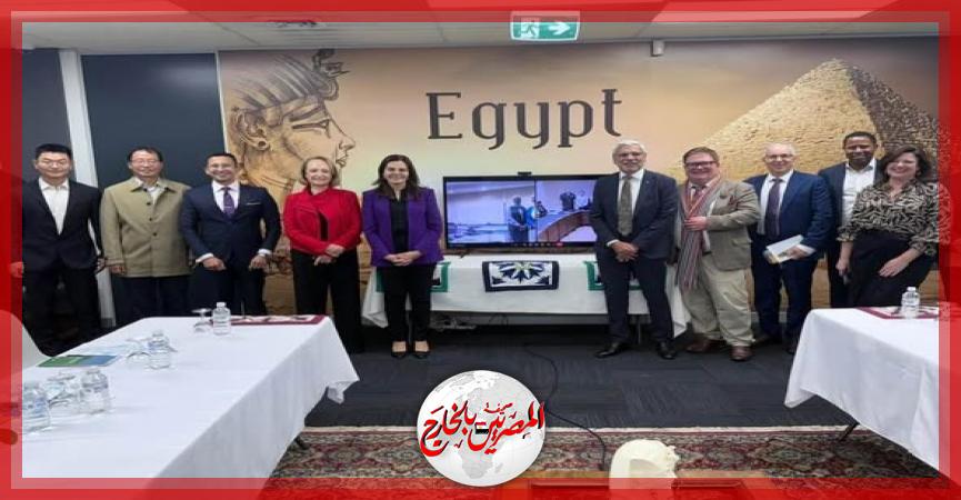 المصريين بالخارج