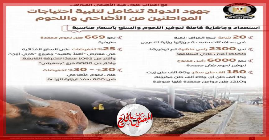 المصريين بالخارج