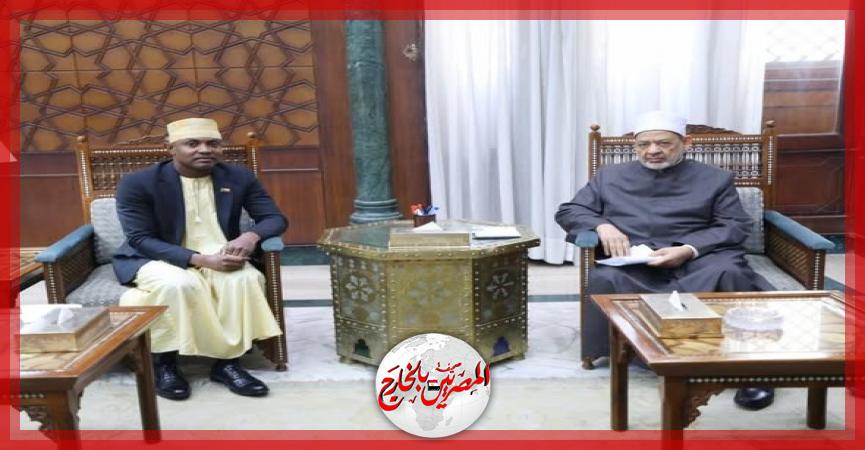 المصريين بالخارج