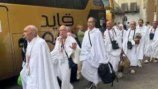 لبيك اللهم لبيك.. بدء تصعيد حجاج القرعة إلى صعيد عرفات لأداء الركن الأعظم من الحج غدًا