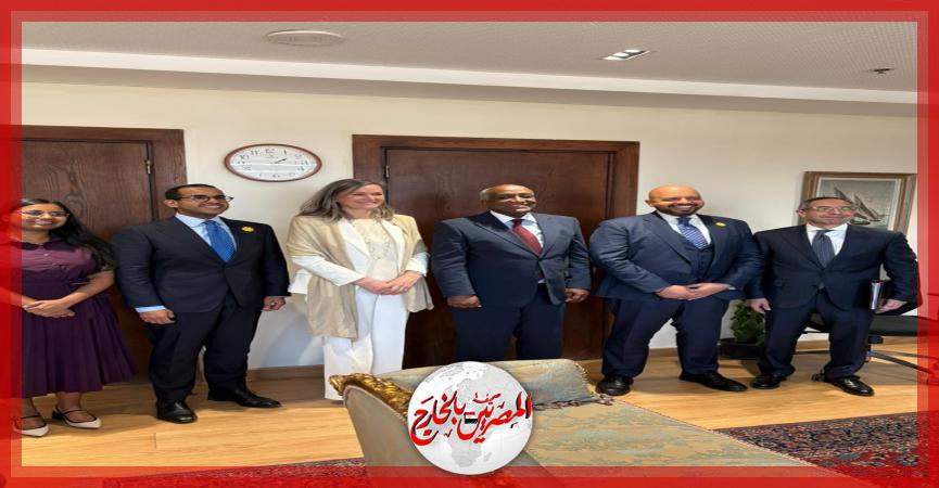 المصريين بالخارج