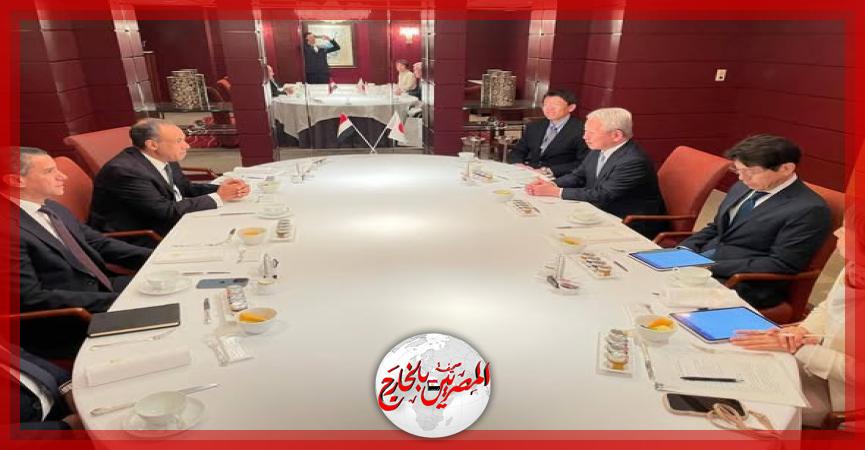 المصريين بالخارج