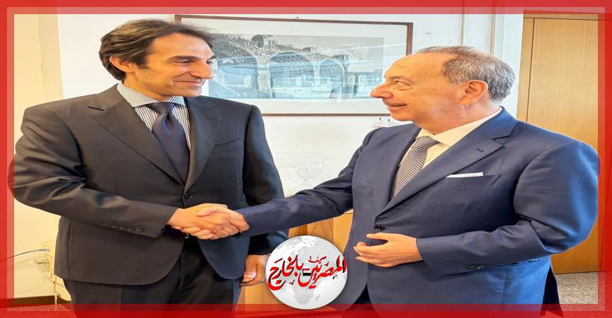 المصريين بالخارج