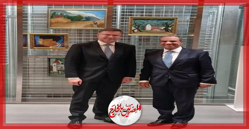 المصريين بالخارج