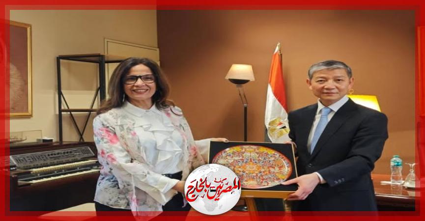 المصريين بالخارج