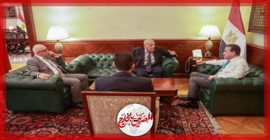 المصريين بالخارج