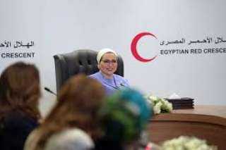 السيدة انتصار السيسي: المساعدات الإنسانية المرسلة إلى قطاع غزة عبر مصر تصل... السيدة انتصار السيسي: المساعدات الإنسانية المرسلة إلى قطاع غزة عبر مصر تصل إلى مليون طن