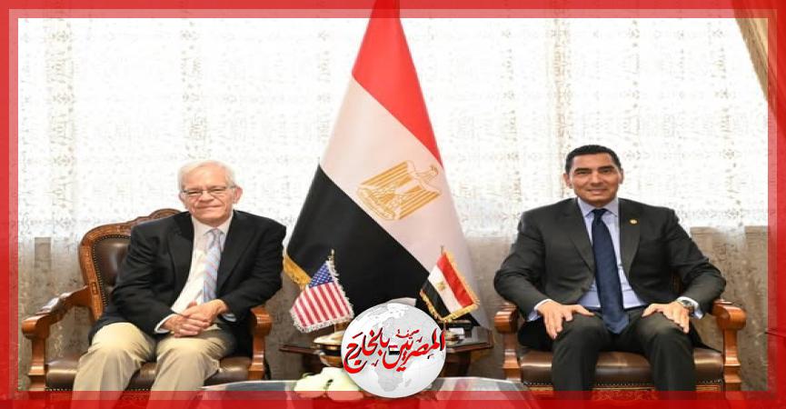 المصريين بالخارج