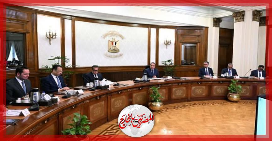 المصريين بالخارج
