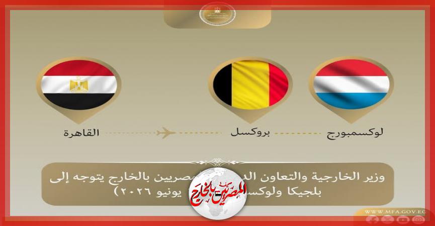 المصريين بالخارج