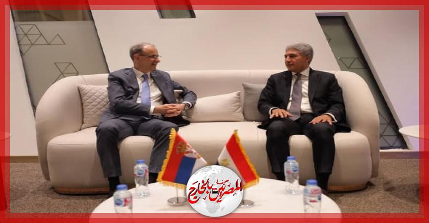 المصريين بالخارج