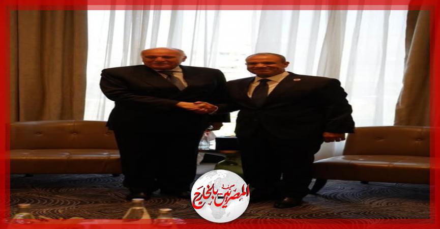 المصريين بالخارج