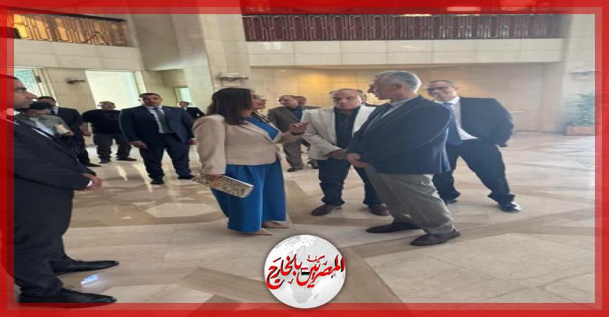 المصريين بالخارج