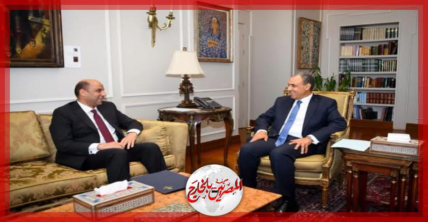 المصريين بالخارج