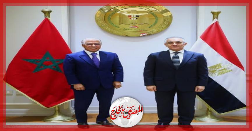 المصريين بالخارج