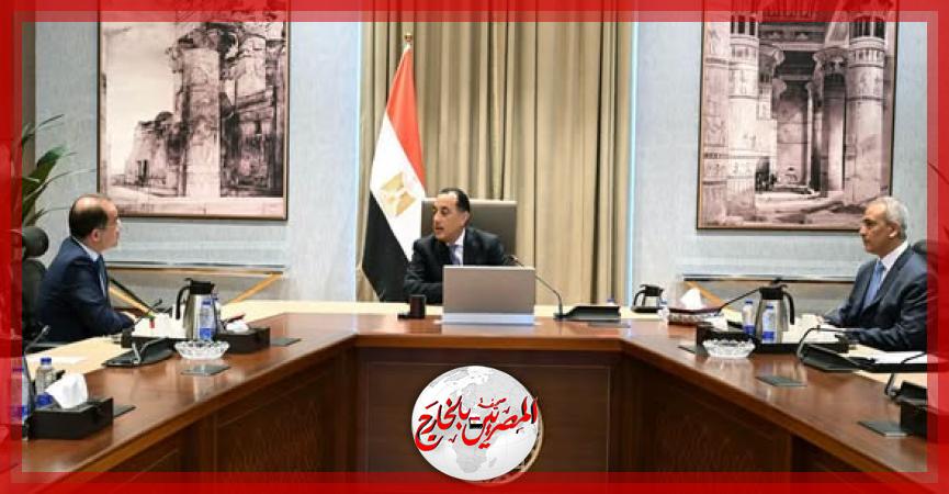 المصريين بالخارج