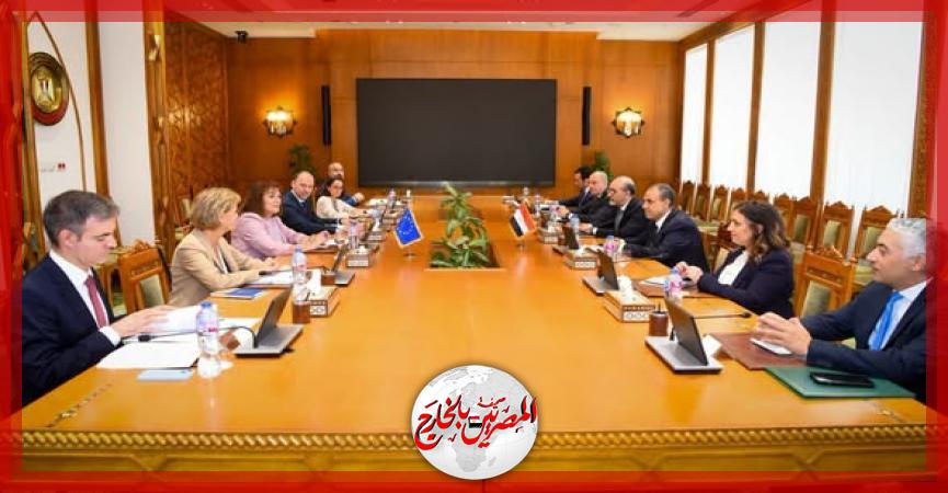 المصريين بالخارج