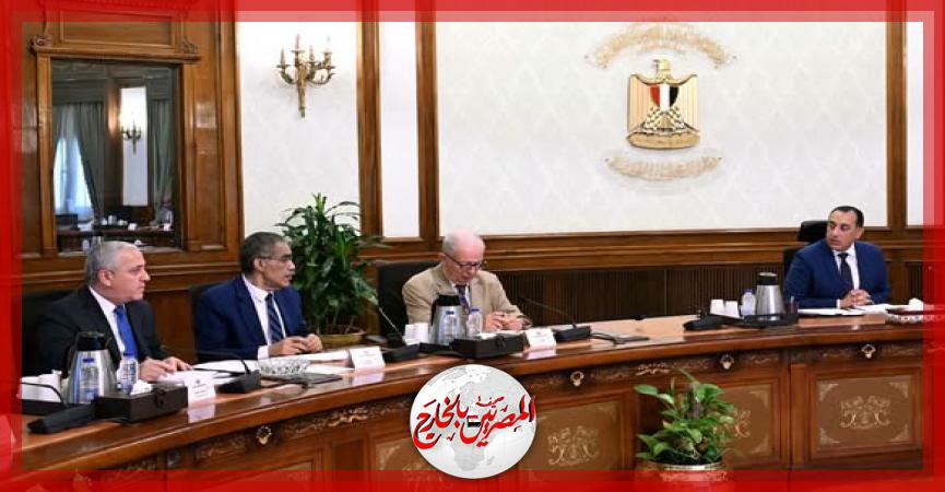 المصريين بالخارج