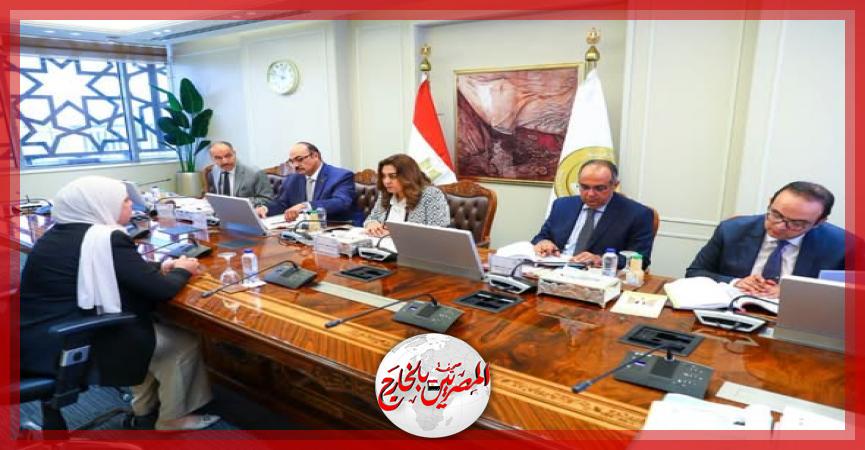 المصريين بالخارج