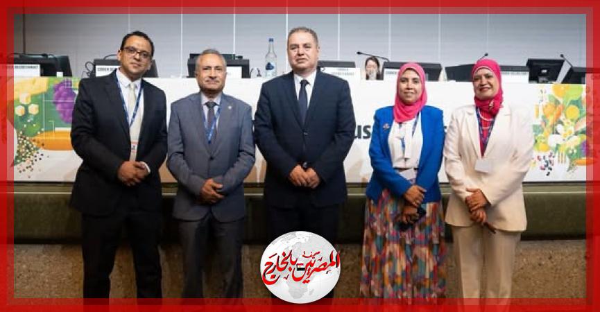 المصريين بالخارج