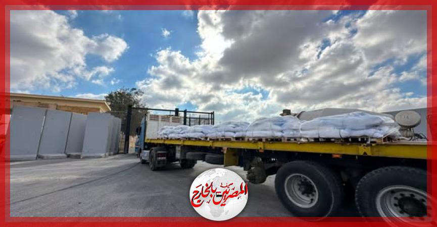 المصريين بالخارج