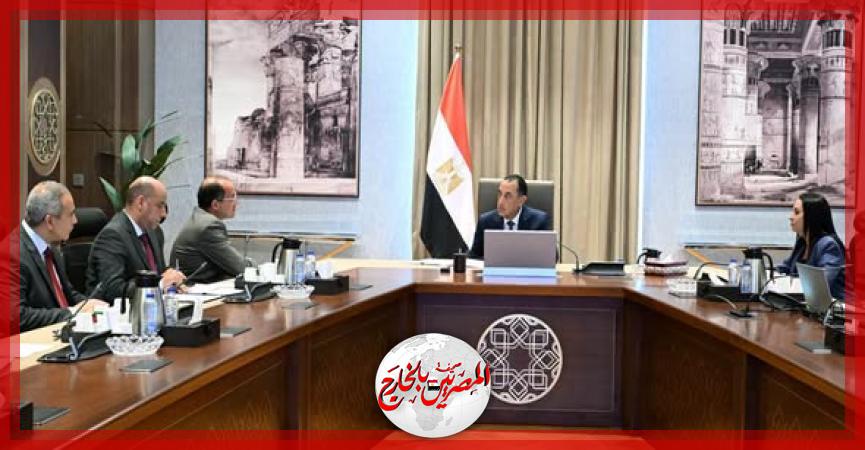 المصريين بالخارج