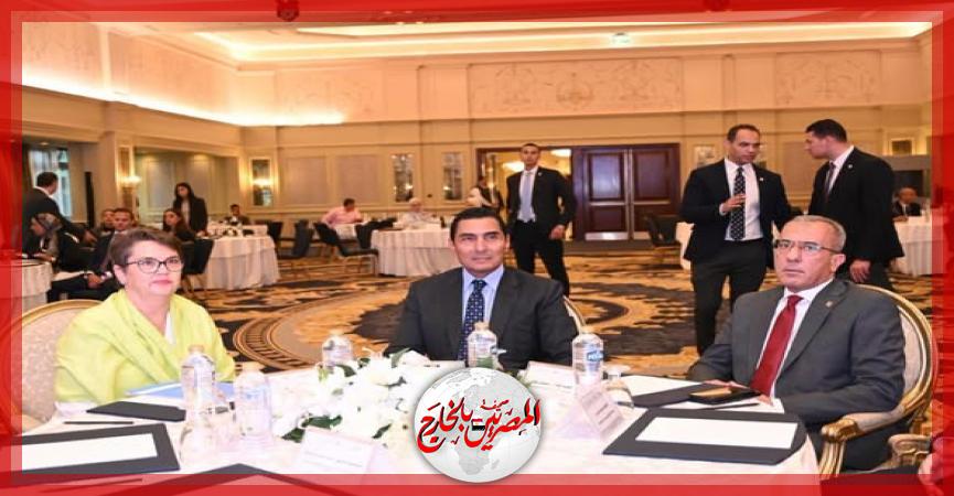 المصريين بالخارج