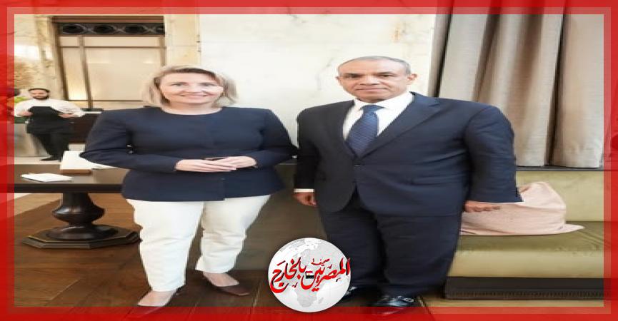 المصريين بالخارج