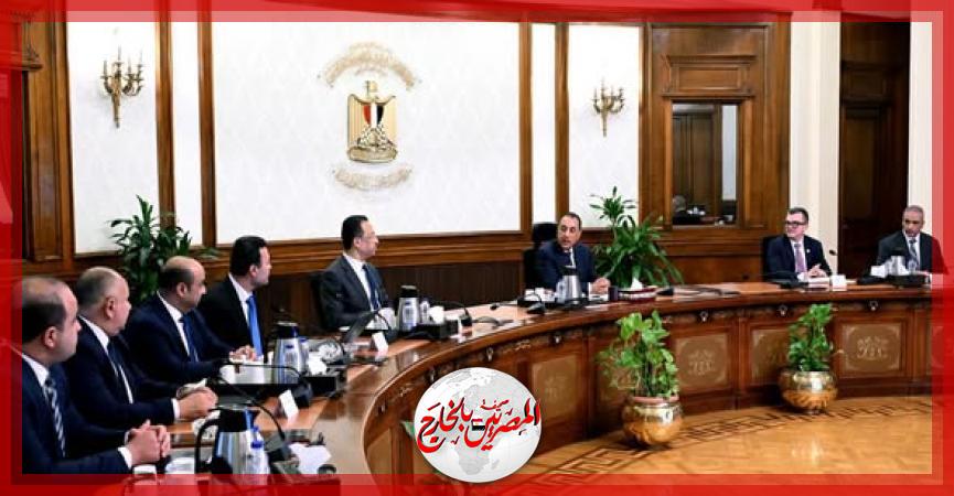 المصريين بالخارج