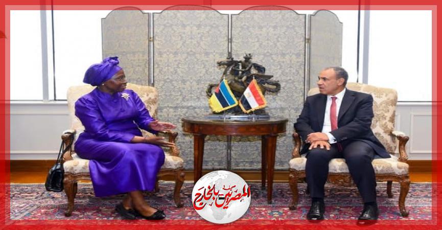 المصريين بالخارج
