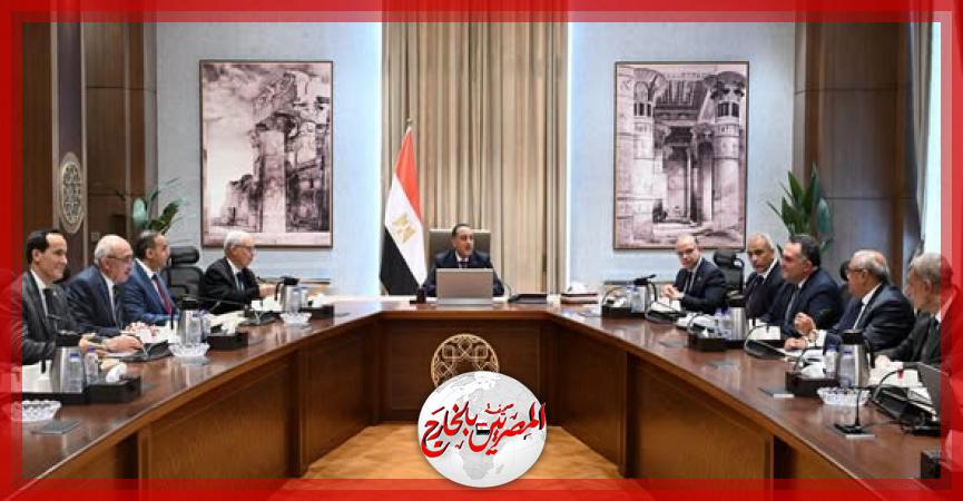 المصريين بالخارج
