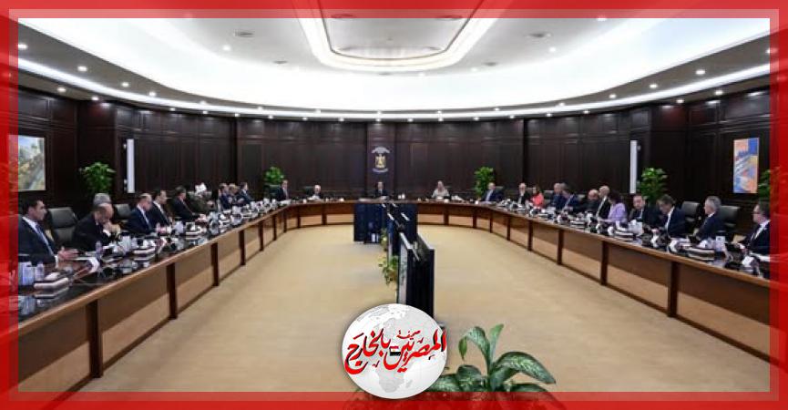 المصريين بالخارج