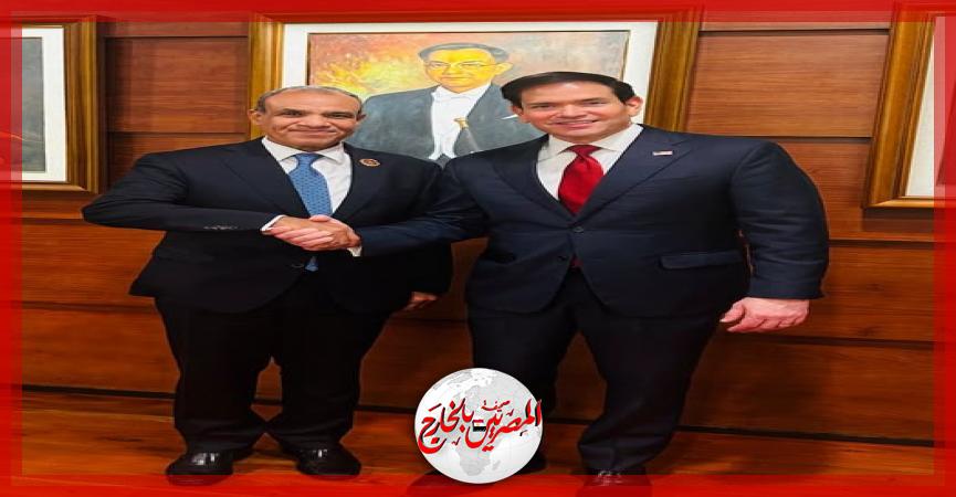 المصريين بالخارج