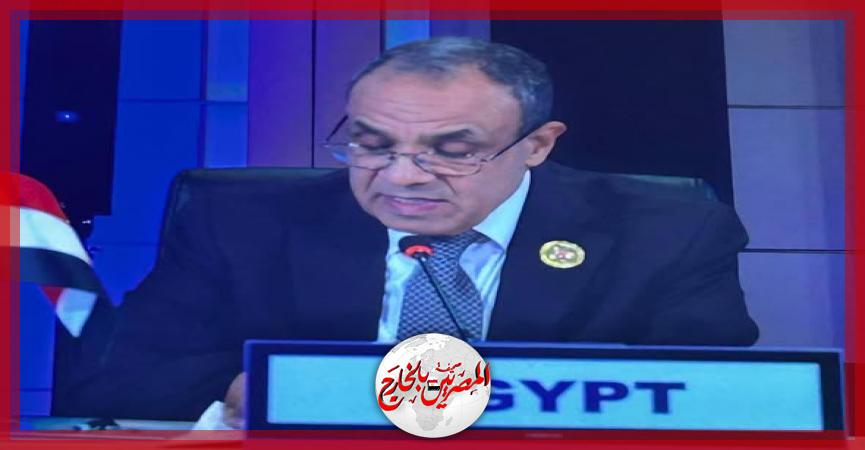 المصريين بالخارج
