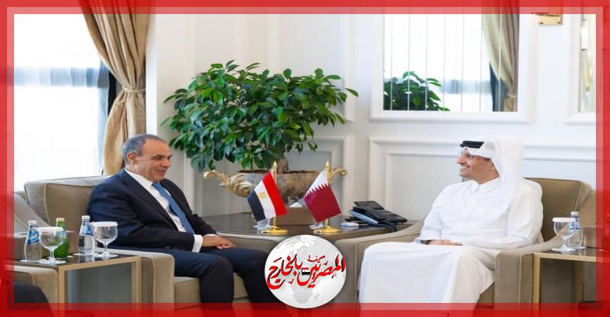 المصريين بالخارج