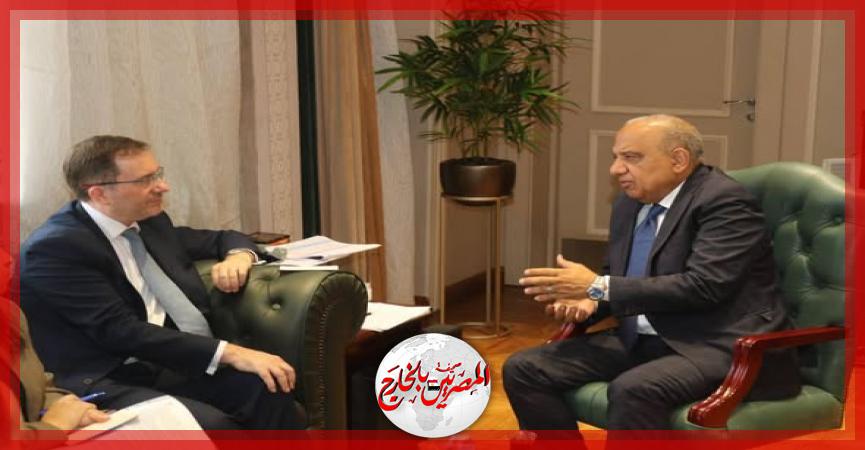 المصريين بالخارج
