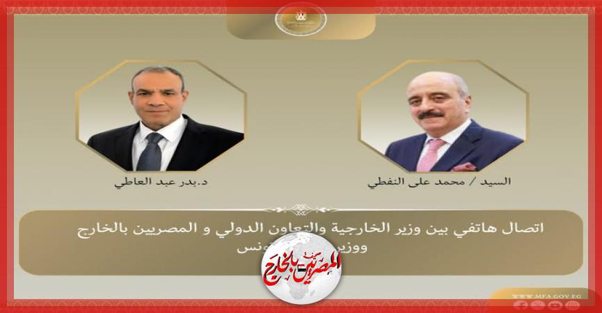 المصريين بالخارج