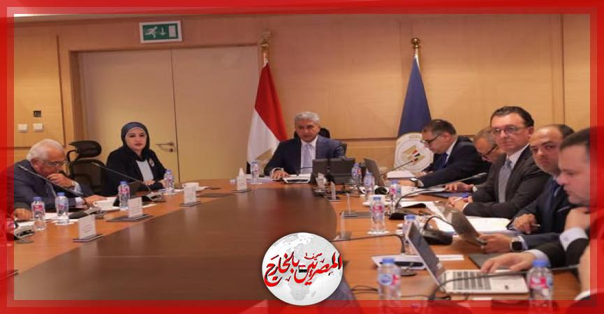 المصريين بالخارج
