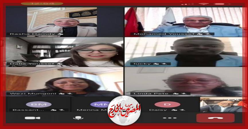المصريين بالخارج